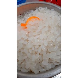 Hạt  Đác Tươi