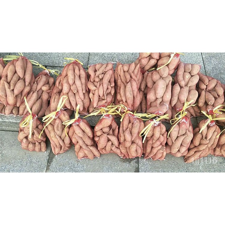 Túi lưới đựng khoai tây xinh xắn chất lượng