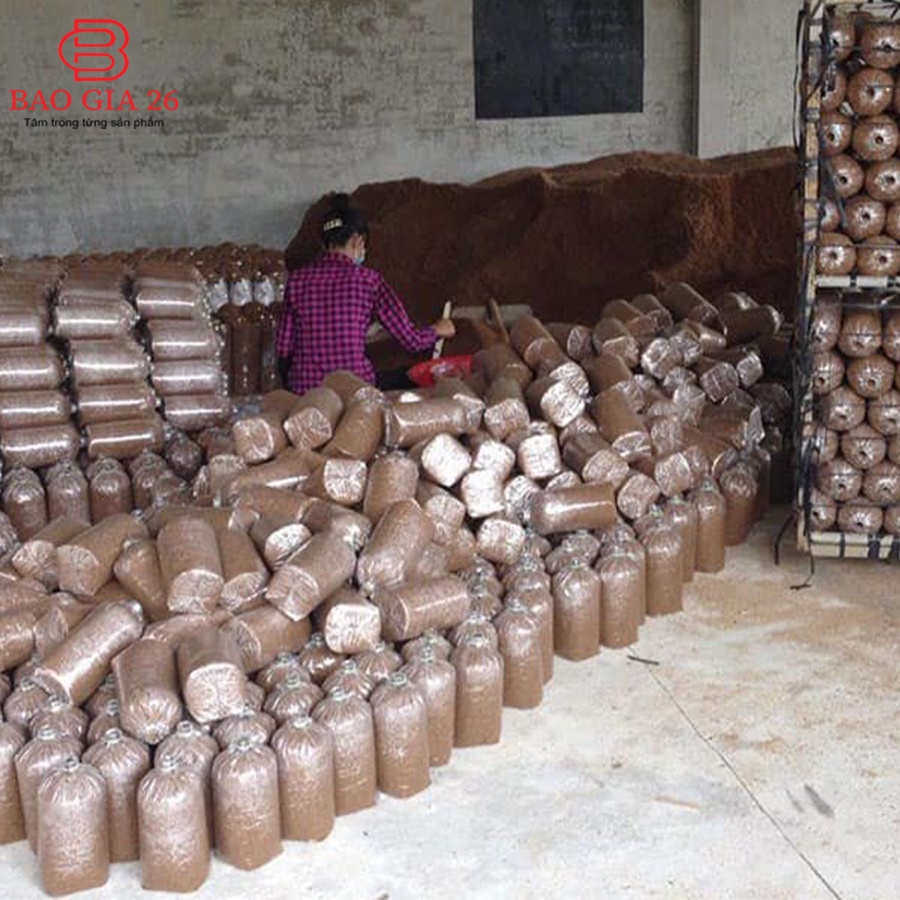 Nấm linh chi đỏ - Hồng chi [100g], Đặc sản Sơn La, Phòng chống ung thư, mỡ máu, huyết áp, tim mạch, giải độc gan