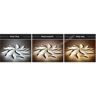 Đèn áp trần hiện đại 5 cánh V7