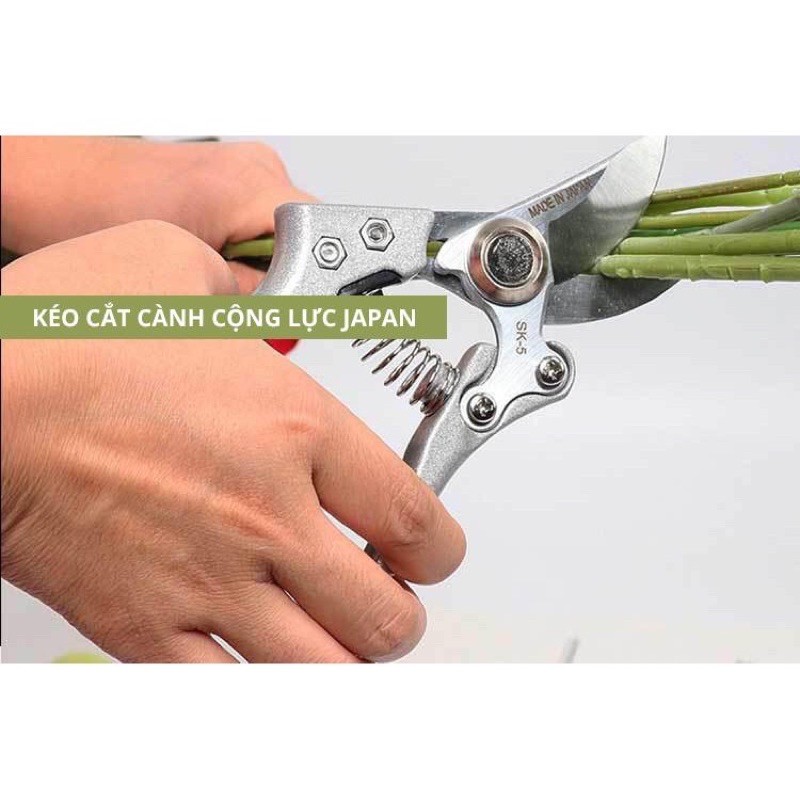 Kéo cắt cành cây hàng TOP