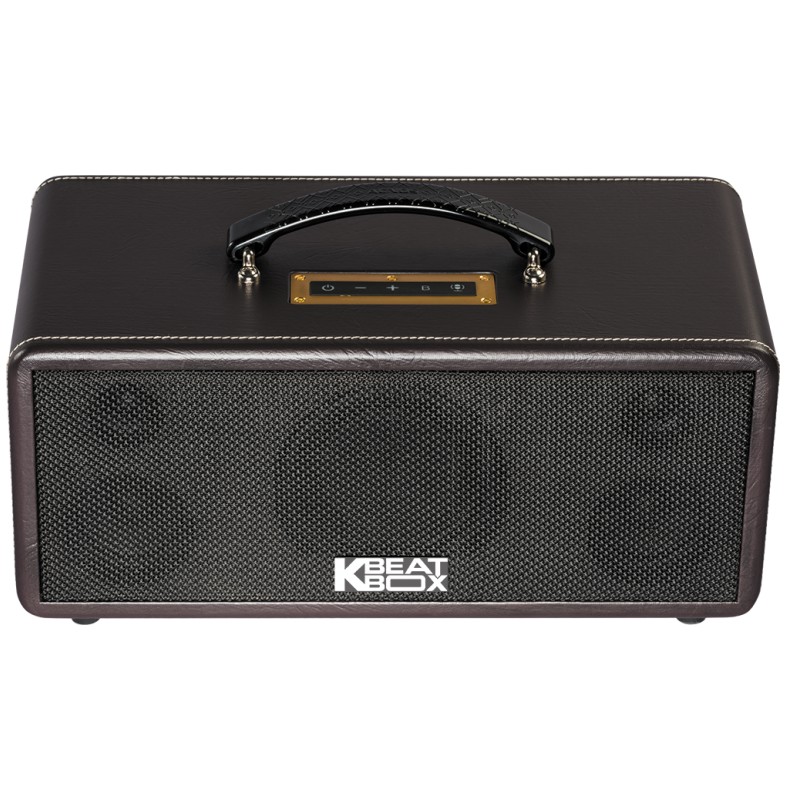 Dàn Âm Thanh Di Động ACNOS KS361MS