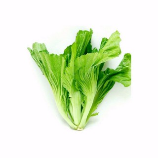 [Mới] - Hạt giống rau cải dưa (cải bẹ đông dư) giá rẻ - Thuận Duy Shop