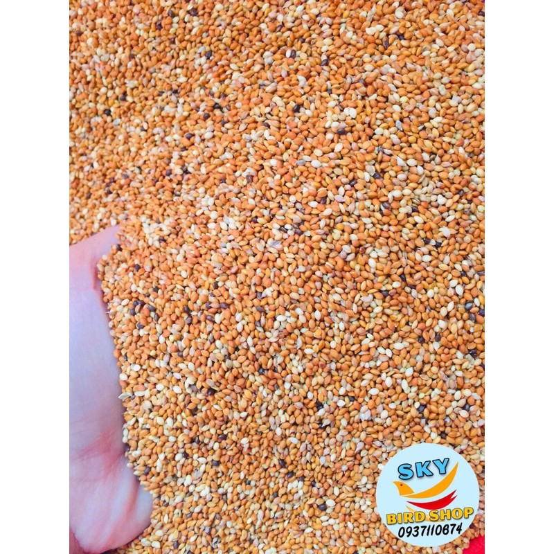 KÊ 3 MÀU/ KÊ ĐỎ/ Kê VÀNG HẠT NHỎ 500gr và 1kg