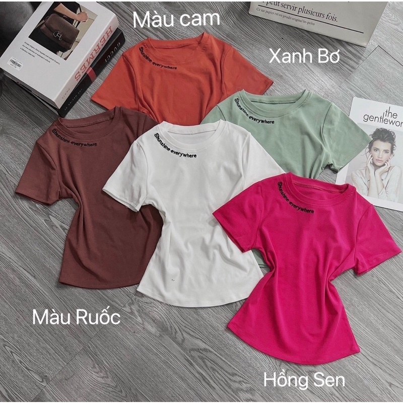 Áo thun body Croptop tay ngắn chữ thêu đơn giản
