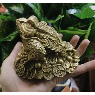 Cóc Tựu Bảo Tài Lộc Ngậm Đồng Tiền ( có kèm đồng tiền)