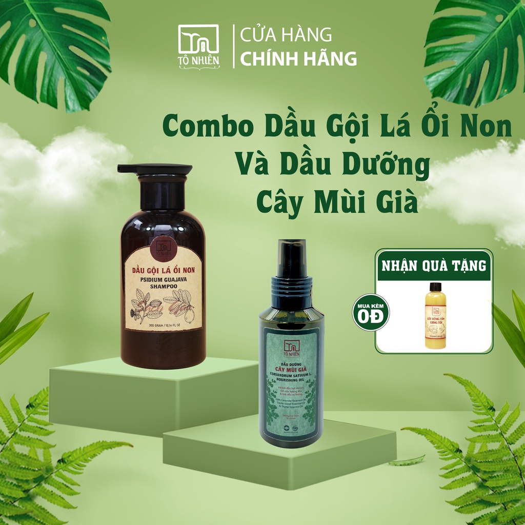 COMBO dầu gội lá ổi non và dầu dưỡng cây mùi già Tô Nhiên - Giúp làm sạch các vùng da đầu,nuôi dưỡng tóc chắc khỏe