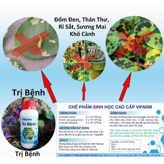 Trị Bệnh - Chế phẩm sinh học dành cho hoa hồng - Nhà Nông Việt