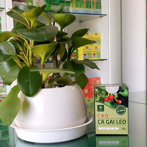 Cao cà gai leo Sadu - Bảo vệ lá gan gia đình bạn