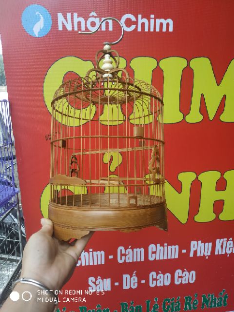 Lồng nuôi chim khuyên lùn