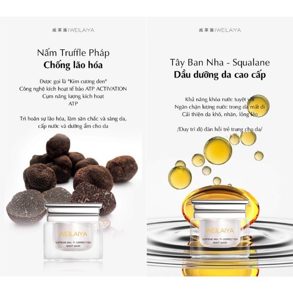 Mặt Nạ Ngủ Ủ Nấm Truffle Weilaiya dưỡng trắng thần kỳ, tuyệt tác từ loại nấm đắc đỏ [ CHÍNH HÃNG ]
