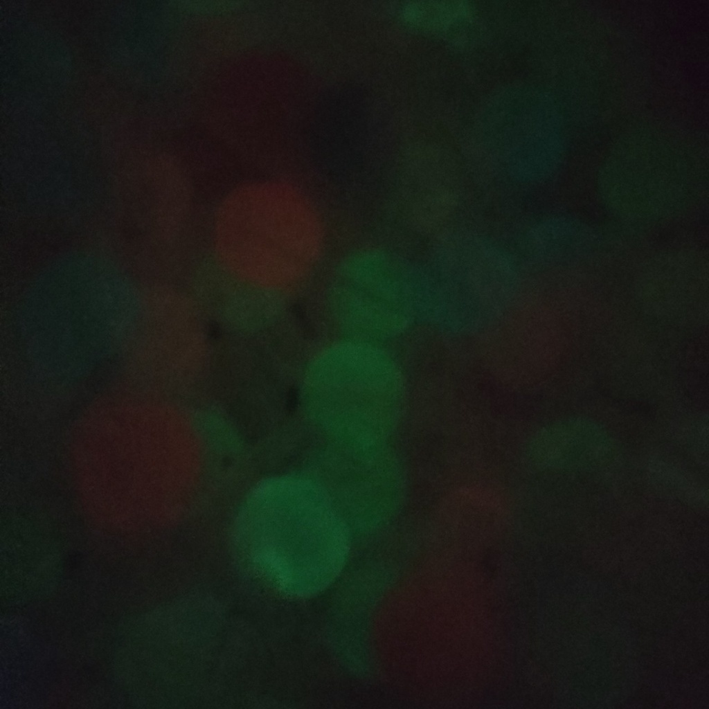 Bóng ném dính tường giảm căng thẳng stress hấp thu ánh sáng dạ quang cực đẹp