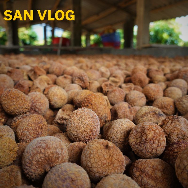1kg VẢI Thiều Sấy Khô Đặc Sản Bắc Giang Loại Ngon  || Đồ Ăn Vặt || San Vlog