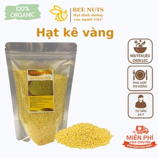 Hạt kê nếp vàng nghệ an loại 1 - bee nuts