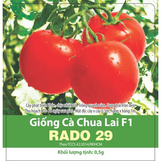 Cà Chua F1 RADO 29 SAI TRÁI CHỊU NHIỆT _GÓI 0,5GRAM.