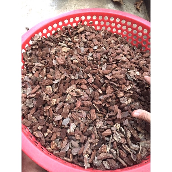 Vỏ Thông đủ size gói 1kg