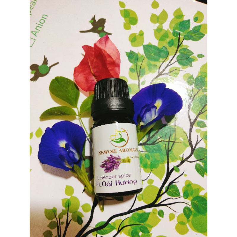 Tinh dầu Oải Hương Lavender Natural Life, , xuất sứ thiên nhiên không pha tạp chất, có giấy kiểm định COA