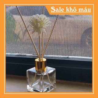 Lọ khuếch tán tinh dầu thơm phòng, thư giãn giá CỰC RẺ