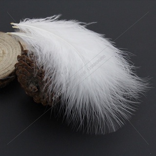 Lông vũ chụp mẫu nail