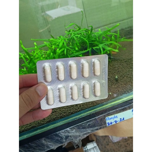 Aquarium-1 đặc trị tép chết lai rai