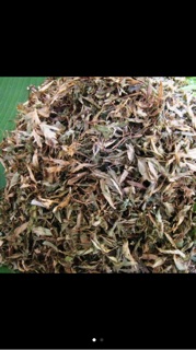 Lá đinh lăng khô 1kg