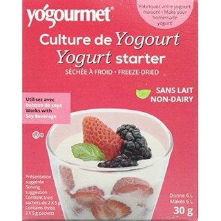 Men làm sữa chua VEGAN