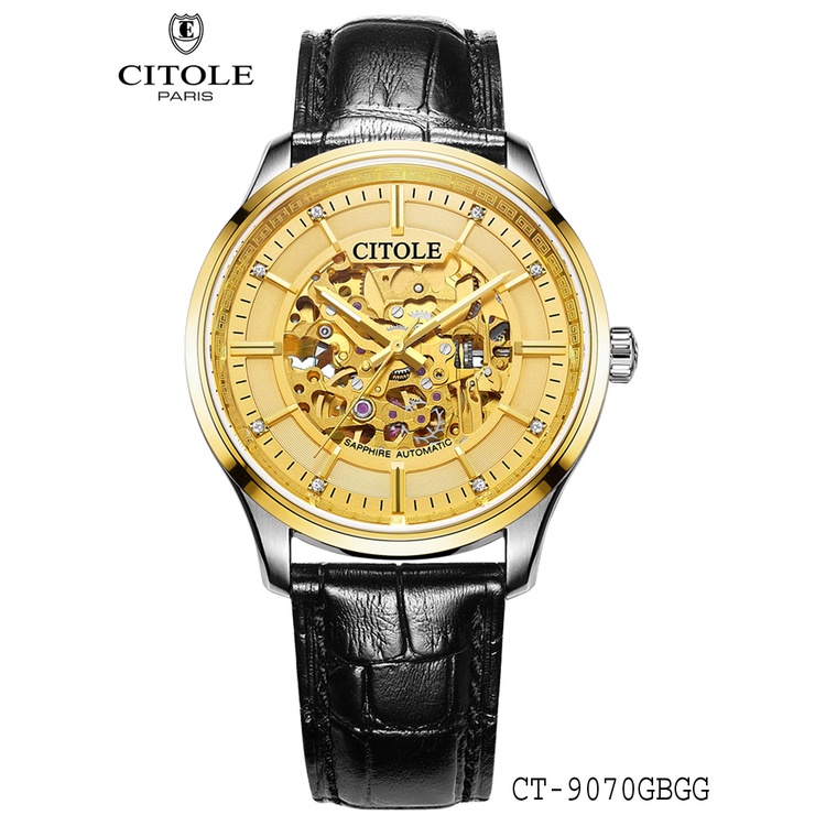 Chính Hãng Nam CITOLE: CT - 9070GBGG - Saphia Nguyên khối - Vỏ Thép 316L - Chịu Nước 50 mét