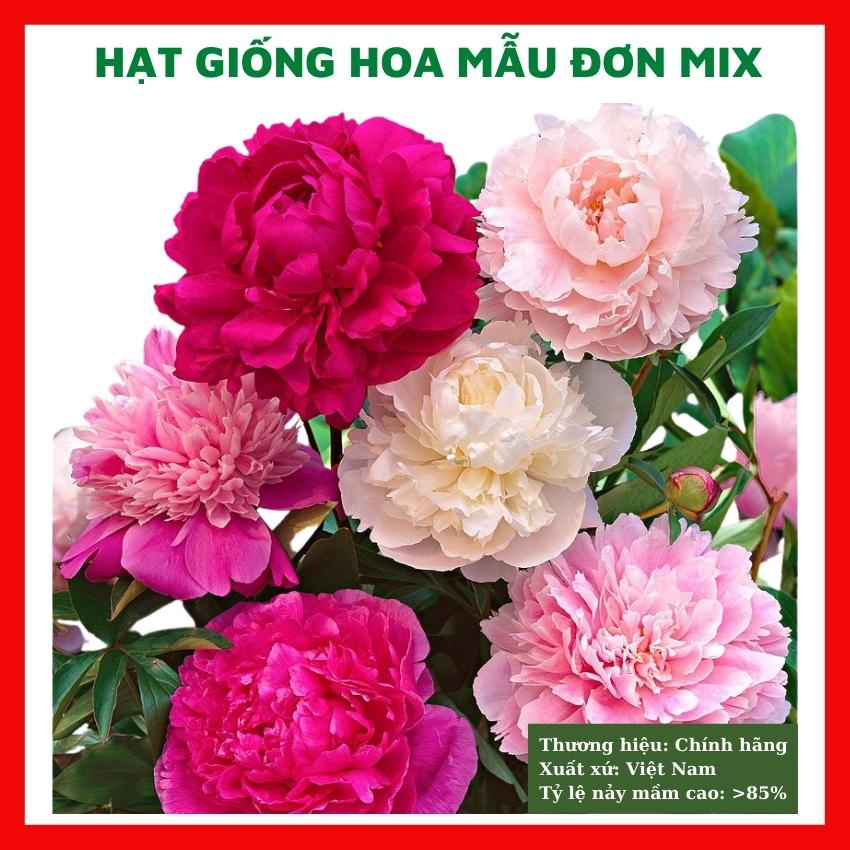 Hạt giống hoa mẫu đơn mix - rau củ quả trồng chậu, sân vườn ban công nảy mầm cao 5 hạt