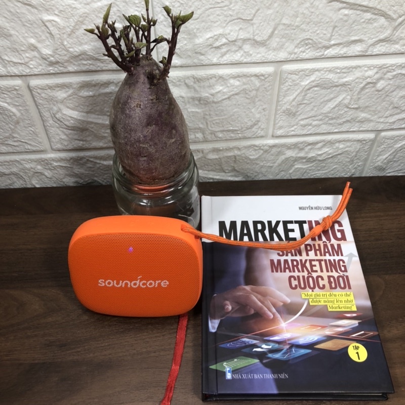 Loa bluetooth Anker SoundCore Icon A3121, Hàng chính hãng