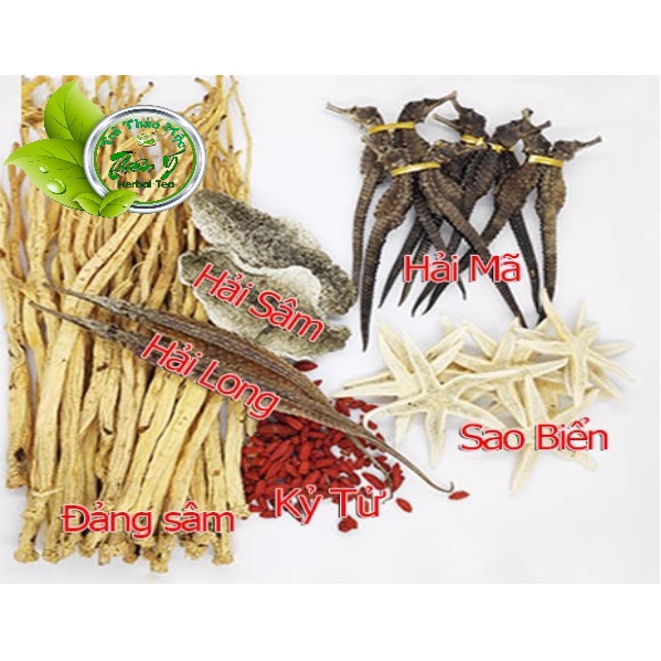 Sao Biển Khô Ngâm Rượu