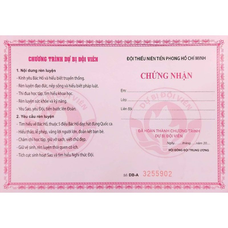 Giấy Chứng Nhận Hoàn Thành  Chương Trình Dự Bị Đội Viên (100 cái)