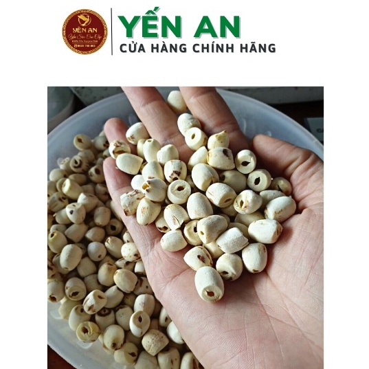 Hạt Sen Huế Sấy Khô-Chất lượng loại I -Nguyên liệu nấu chè,Chưng yến,Sâm bổ lượng