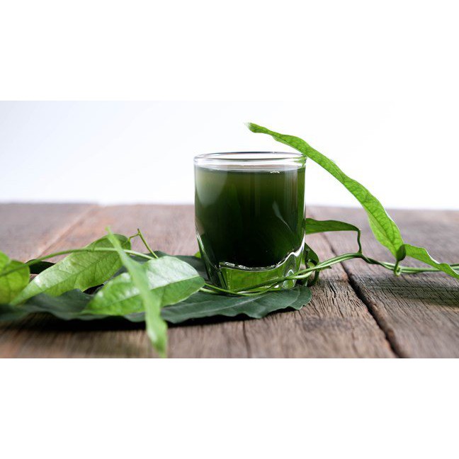 BỘT DIỆP LỤC DX