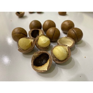 Macadamia Mourad's [Nhập khẩu 100%]