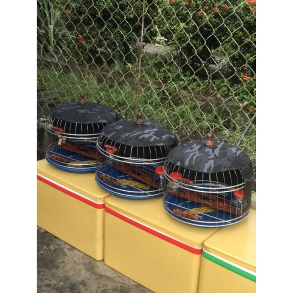 Lồng cu gáy size 36 cao cấp