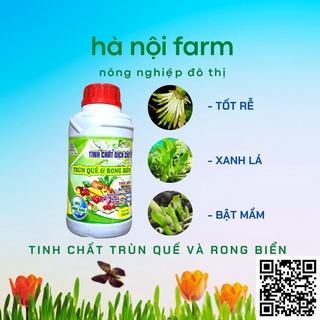 Phân bón dịch chiết trùn quế và rong biển siêu đậm đặc chai 1Lít