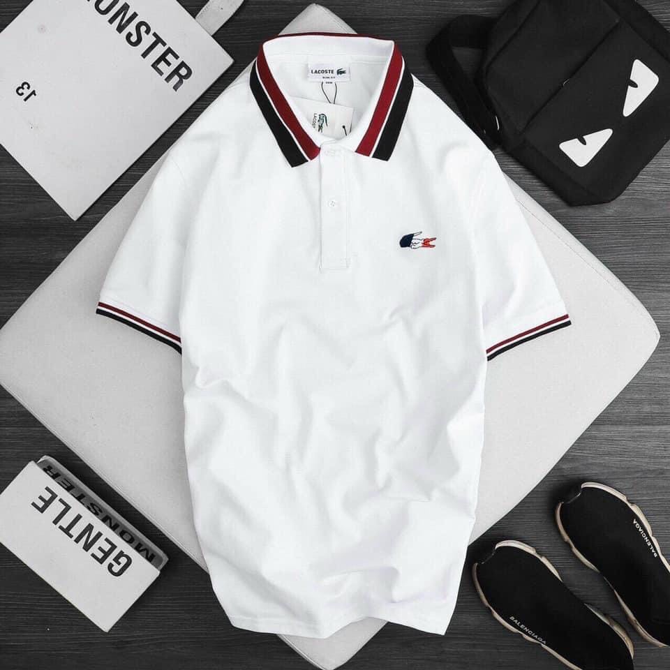 Áo POLO Nam LACOSTE Cá Sấu Cotton Cổ bẻ trẻ trung hiện đại