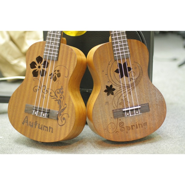 ĐÀN UKULELE CONCERT HÌNH