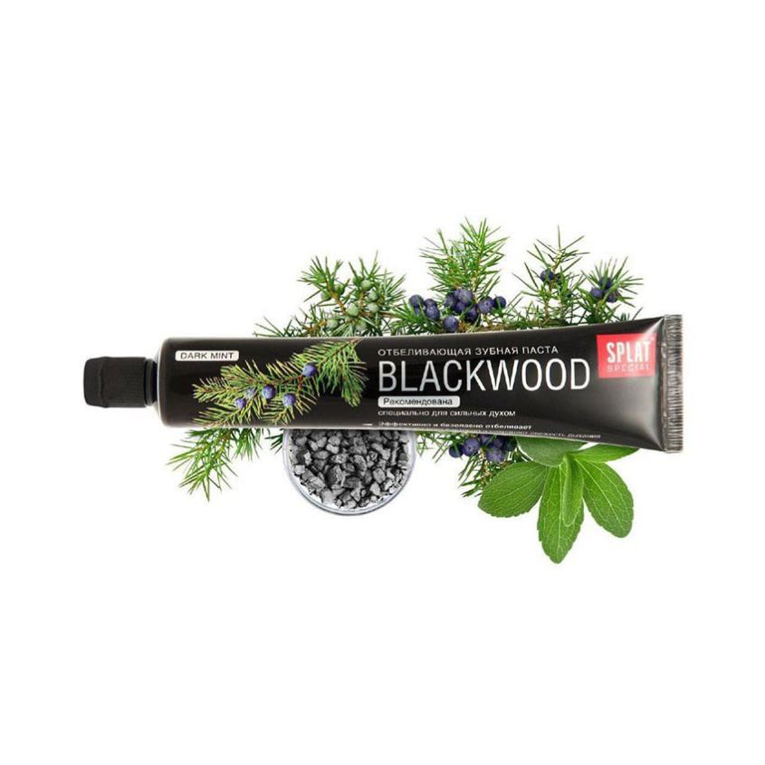 Kem Đánh Răng Splat Blackwood Special Series (75ml) - Chính hãng 100% | BigBuy360 - bigbuy360.vn
