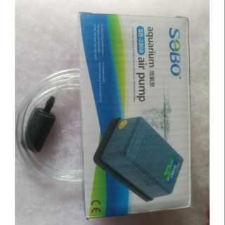 Combo máy oxi 1 vòi, dây và cục sủi cho hồ cá