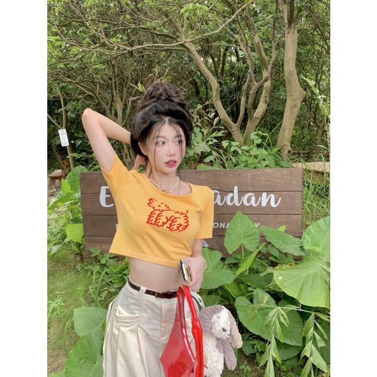 Áo Thun Tay Ngắn Dáng Ôm Màu Trơn Thời Trang Mùa Hè Hàng Mới Dành Cho Bạn Nữ