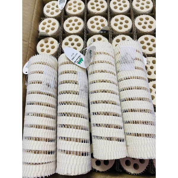 SỨ MOUTAIN TREE v1 và v3 ( thanh lẻ )