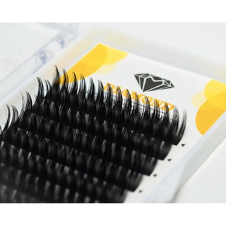 Mi Sơn Trà,Hoa Hồng Đen DIAMOND Cao Cấp - dày 0.07 - cong C-CC-D - mi khay sole - Mr Tuấn