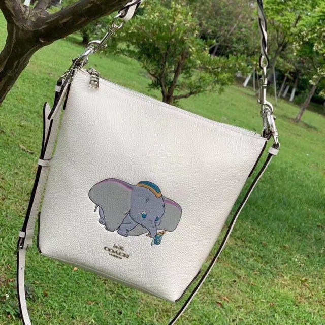 Túi Coach Disney X Jes crossbody xuất dư❤️❤️