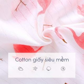 Bộ cotton giấy qc