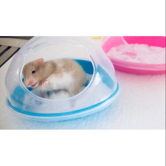 Nhà cát tắm size lớn cho hamster