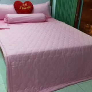 Drap cotton màu trơn Thắng Lợi.