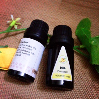 Sale sốc combo 2 lọ tinh dầu xông thơm phòng loại 10ml hương dứa