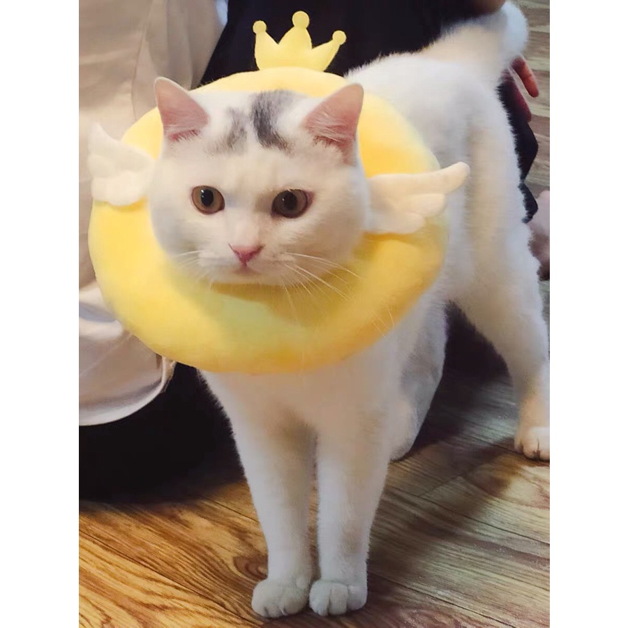 Vòng chống liếm cho chó mèo mẫu cánh thiên thần đáng yêu - 4pets official