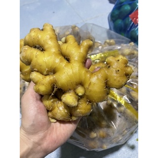 Gừng sẻ việt nam loại đặc biệt 1kg